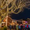 friday-harbor-house-san-juan-islands-lights-festival