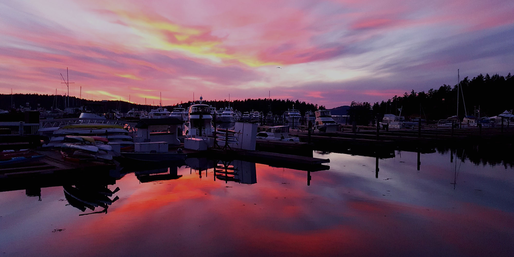 Friday Harbor marina at sunset